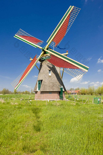 风车鹳镇荷兰