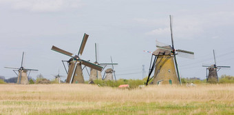 风车小孩堤防荷兰