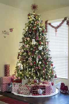 美丽的圣诞节树