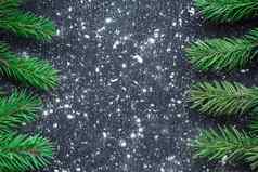 圣诞节树分支机构冬天雪花黑色的空间背景