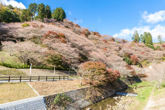 小原丰田名古屋日本