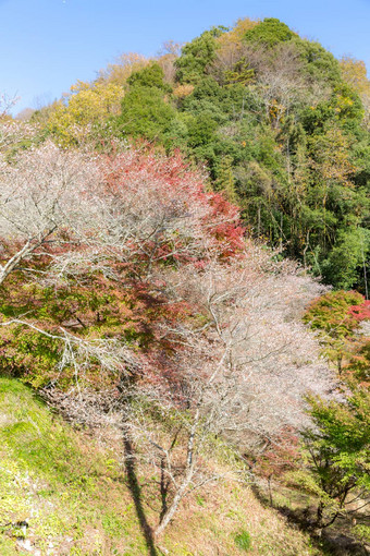 小原丰田名古屋日本