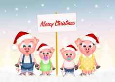 猪庆祝圣诞节