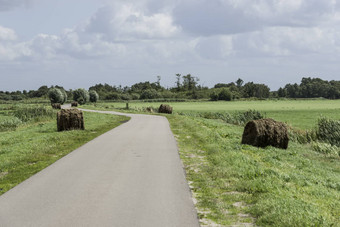 有包绿色场<strong>荷兰</strong>