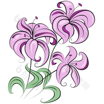 插图程式化的花束花类似的莉莉