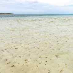 尼龙池多巴哥旅游吸引力浅深度清晰的海水覆盖珊瑚白色沙子全景视图