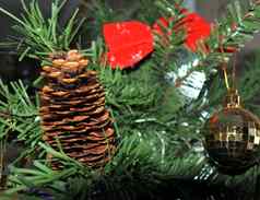 棕色（的）松锥圣诞节玩具一年树背景