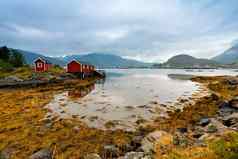 挪威小屋rorbu湾海岸北欧多云的夏天一天