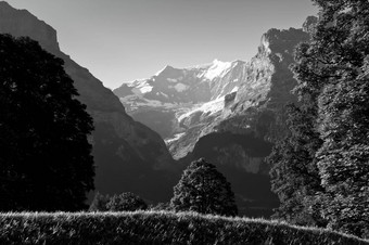 瑞士山berner高地阿尔卑斯山脉欧洲阿尔卑斯山脉