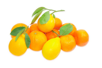 普通话橙子柠檬橙子光后台支持