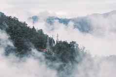 多雾的场景热带森林山