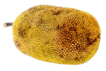 菠萝蜜热带水果