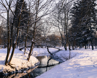 美丽的冬天景观公园河桥