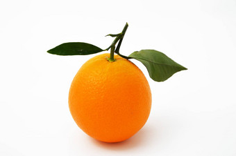 橙色绘画广告机构<strong>设计公司</strong>
