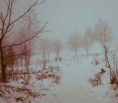 冬天景观孩子们滑雪橇