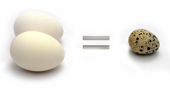 图片鹌鹑鸡蛋白色背景