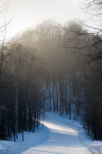 <strong>雪路</strong>林地<strong>雪</strong>暴风阴影