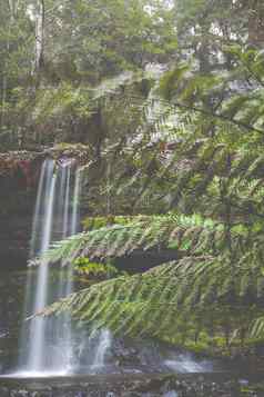 罗素瀑布山场国家公园塔斯马尼亚澳大利亚
