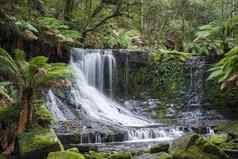 罗素瀑布山场国家公园塔斯马尼亚澳大利亚