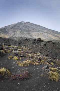 ngauruhoe火山汤加里罗国家公园北islan