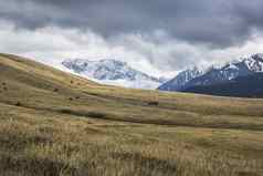 风景如画的景观天山山山吉尔吉斯斯坦
