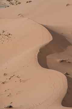 沙子沙丘日落撒哈拉沙漠摩洛哥