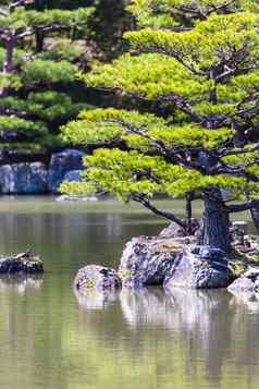 日本Zen花园kinkakuji寺庙公园《京都议定书》