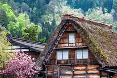 传统的历史日本村荻町shirakawa-go日本