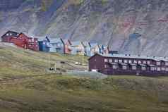 田园风景优美的视图色彩斑斓的房子绿色场北极