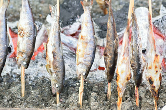 日本街食物烤ayu鱼