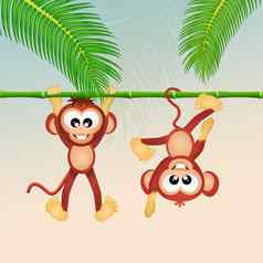 猴子森林