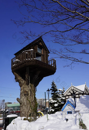 树房子体系结构雪冬天