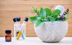 替代健康护理Herbal医学新鲜的草本植物阿罗