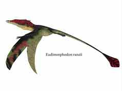 eudimorphodon翅膀字体。