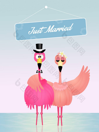 婚礼粉红色的火烈鸟