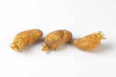 土豆日益增长的豆芽