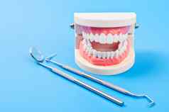 白色牙齿模型牙科instrumentw