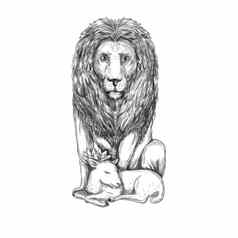 狮子看羊肉纹身