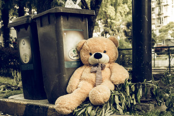 泰迪熊扔坐着旁观垃圾垃圾