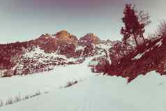 山前旅游热旅行概念游览野生自然户外活动阿尔卑斯山脉意大利