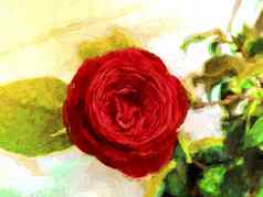 数字绘画红色的玫瑰