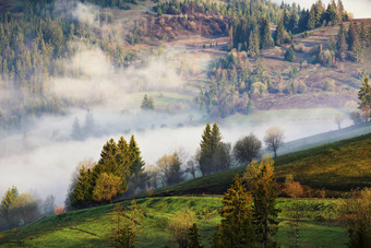 云雾山山有雾的阳光明媚的早....森林