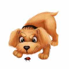 可爱的毛茸茸的小狗卡通动物字符吉祥物玩瓢虫