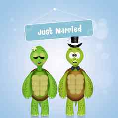 婚礼海龟