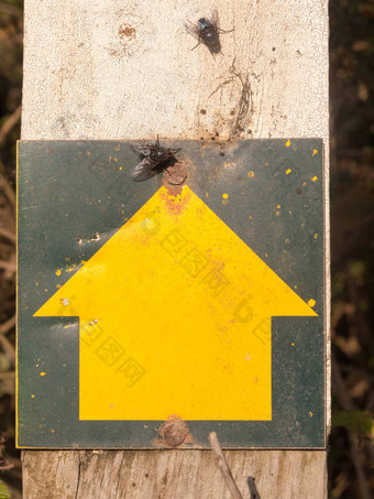 黄色的箭头头标志指出木帖子图形