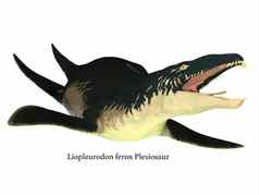liopleurodon海洋爬行动物