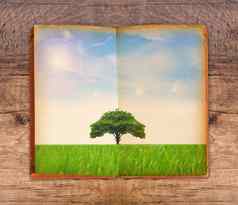 保存纸保存树概念
