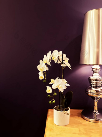 白色兰花金属灯紫色的室内