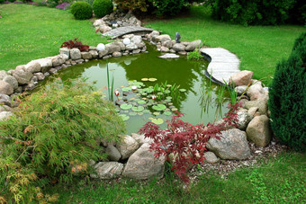 美丽的经典设计花园<strong>鱼池</strong>塘园艺背景