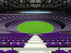 美丽的现代大轮板球体育场紫色的座位贵宾盒子